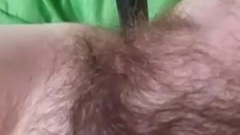 Hairy Amateur Masturbates In Hd Video